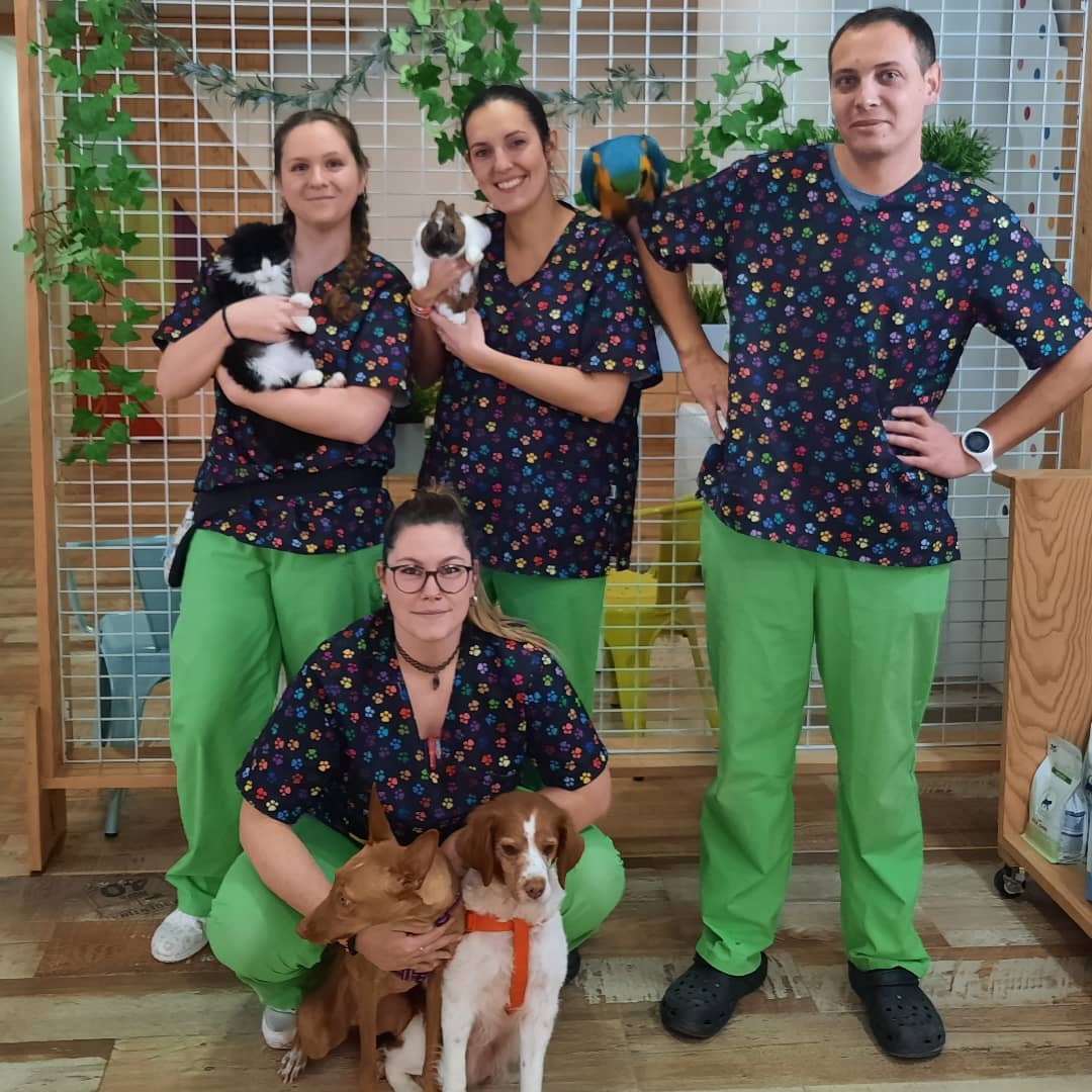 Equipo - Centro Veterinario Elena Saenz, Alcañiz