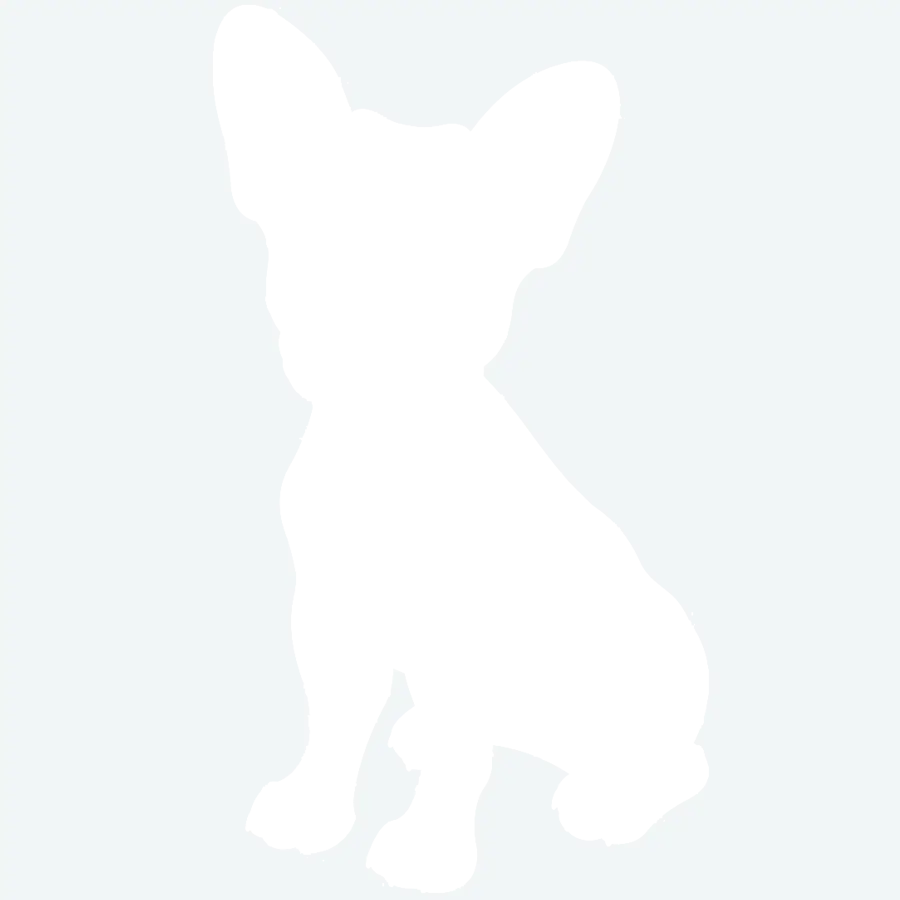 Máscara - Centro Veterinario Elena Saenz, Alcañiz