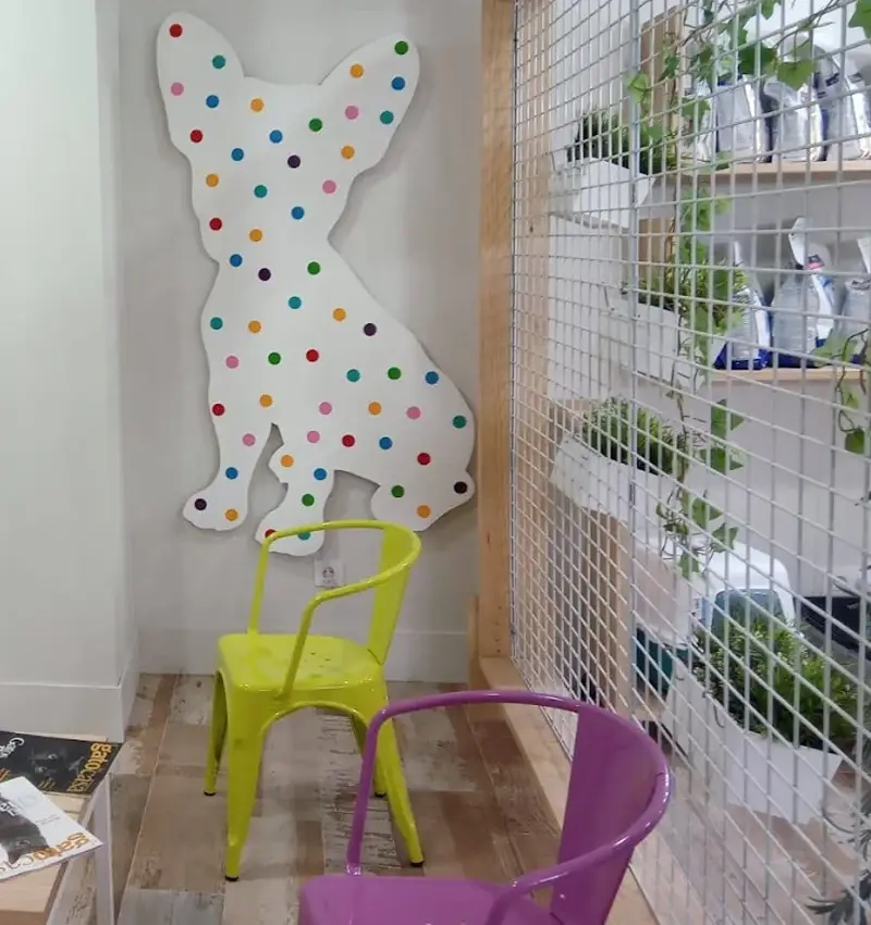 Sala de espera - Centro Veterinario Elena Saenz, Alcañiz