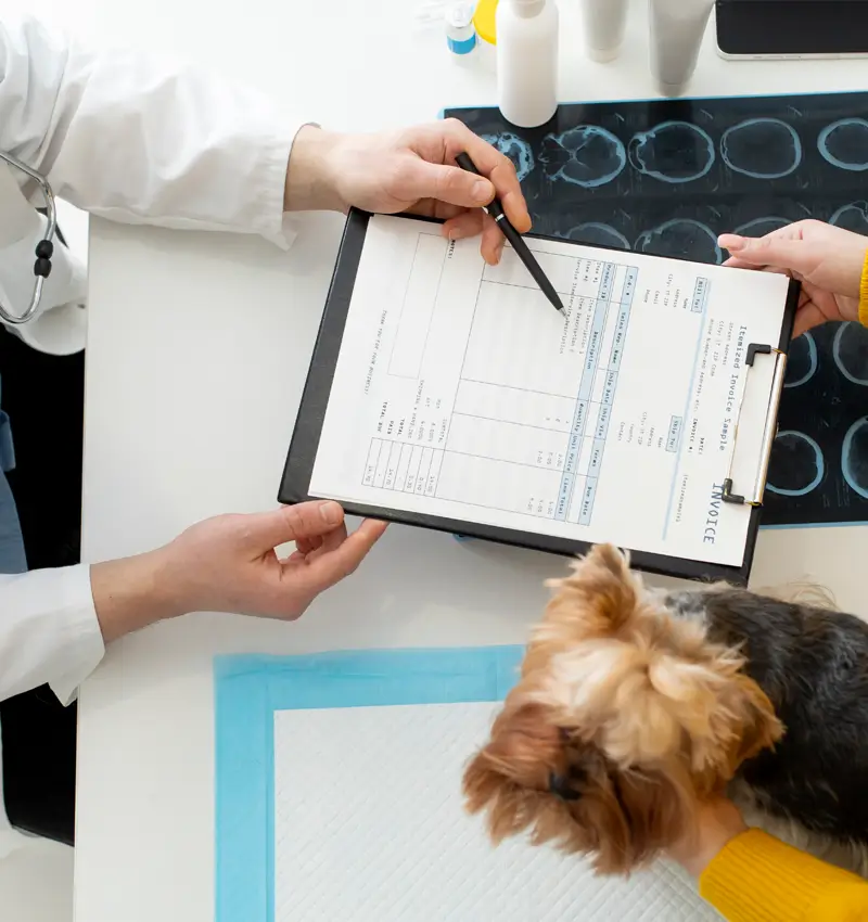 Asesoramiento personalizado - Centro Veterinario Elena Saenz, Alcañiz